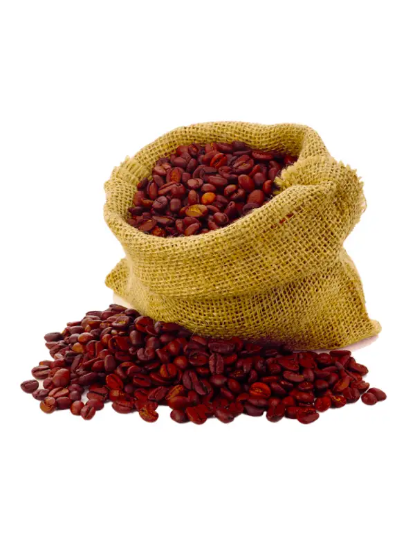 Picture of Indian Arabica