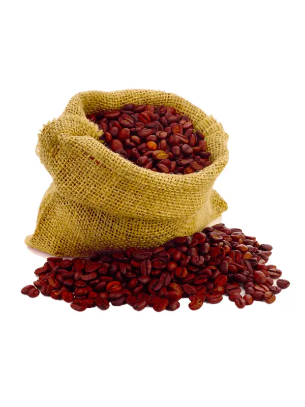 Picture of Indian Arabica